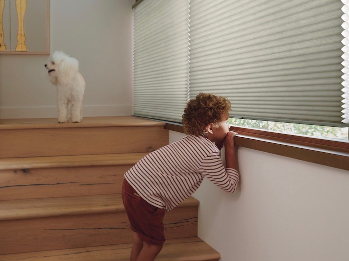 Hunter Douglas Dealer Image
